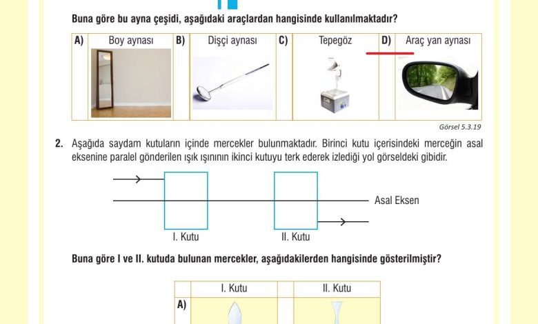 7. Sınıf Meb Yayınları Fen Bilimleri Ders Kitabı Sayfa 177 Cevapları