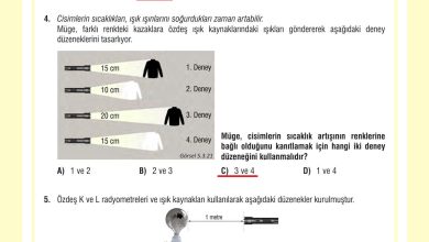 7. Sınıf Meb Yayınları Fen Bilimleri Ders Kitabı Sayfa 178 Cevapları