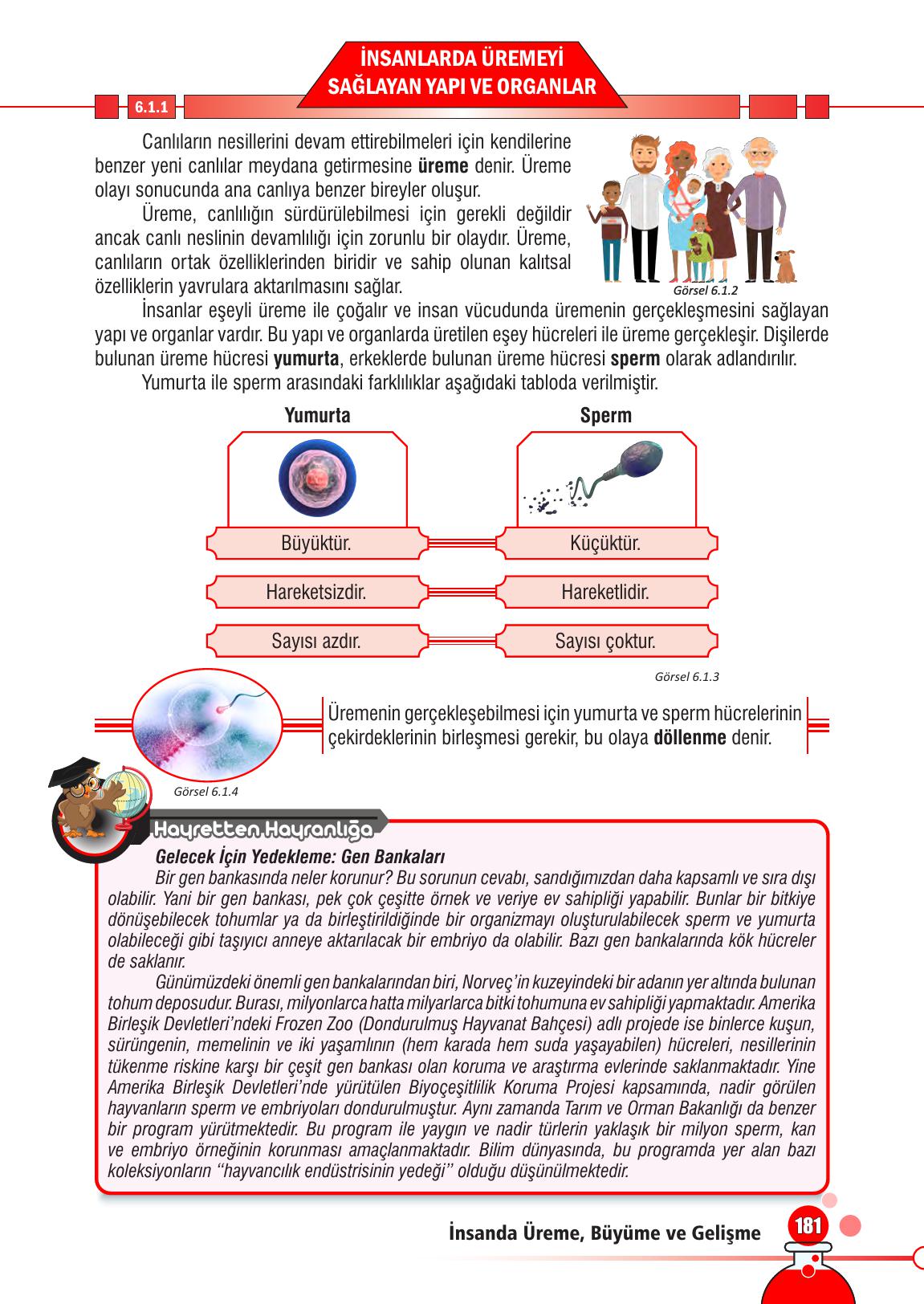 7. Sınıf Meb Yayınları Fen Bilimleri Ders Kitabı Sayfa 181 Cevapları