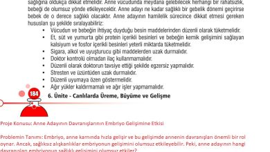 7. Sınıf Meb Yayınları Fen Bilimleri Ders Kitabı Sayfa 184 Cevapları