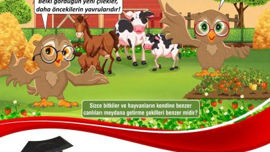 7. Sınıf Meb Yayınları Fen Bilimleri Ders Kitabı Sayfa 186 Cevapları