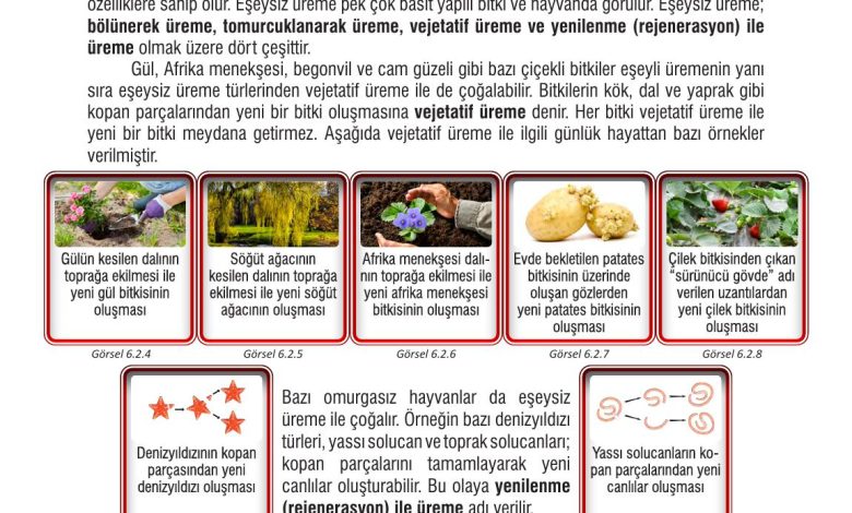 7. Sınıf Meb Yayınları Fen Bilimleri Ders Kitabı Sayfa 187 Cevapları