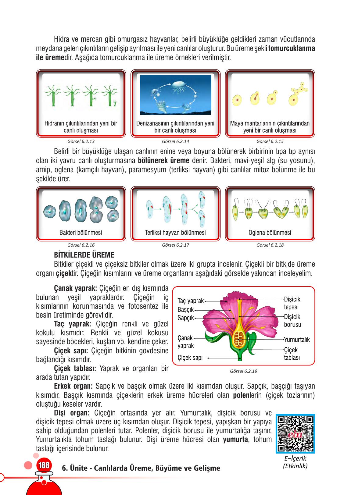 7. Sınıf Meb Yayınları Fen Bilimleri Ders Kitabı Sayfa 188 Cevapları