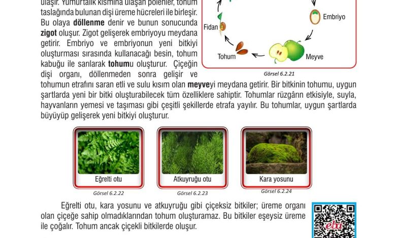 7. Sınıf Meb Yayınları Fen Bilimleri Ders Kitabı Sayfa 189 Cevapları