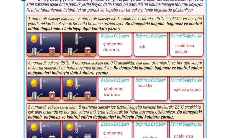 7. Sınıf Meb Yayınları Fen Bilimleri Ders Kitabı Sayfa 192 Cevapları