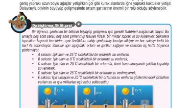 7. Sınıf Meb Yayınları Fen Bilimleri Ders Kitabı Sayfa 193 Cevapları