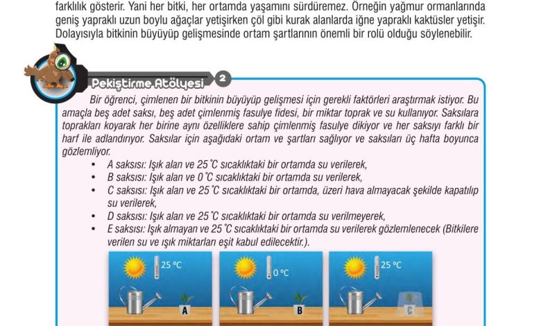 7. Sınıf Meb Yayınları Fen Bilimleri Ders Kitabı Sayfa 193 Cevapları