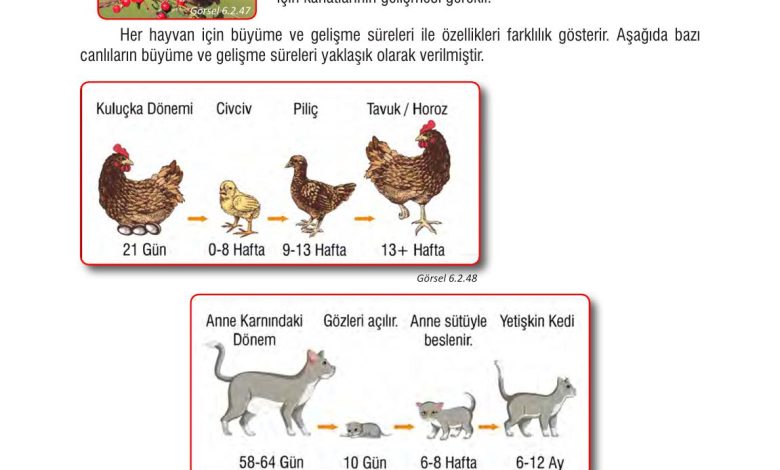 7. Sınıf Meb Yayınları Fen Bilimleri Ders Kitabı Sayfa 194 Cevapları