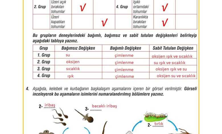 7. Sınıf Meb Yayınları Fen Bilimleri Ders Kitabı Sayfa 198 Cevapları