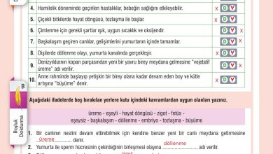 7. Sınıf Meb Yayınları Fen Bilimleri Ders Kitabı Sayfa 199 Cevapları