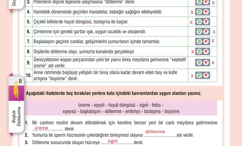 7. Sınıf Meb Yayınları Fen Bilimleri Ders Kitabı Sayfa 199 Cevapları