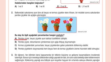 7. Sınıf Meb Yayınları Fen Bilimleri Ders Kitabı Sayfa 201 Cevapları