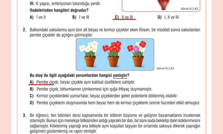 7. Sınıf Meb Yayınları Fen Bilimleri Ders Kitabı Sayfa 201 Cevapları