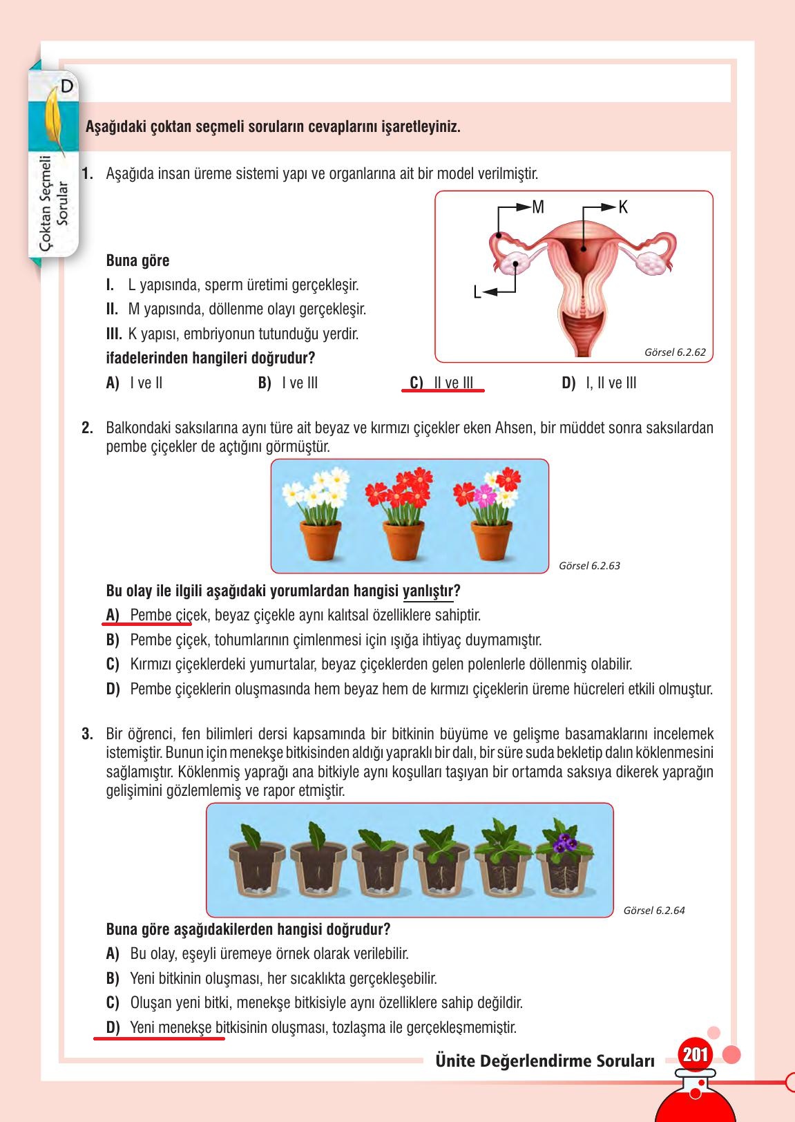 7. Sınıf Meb Yayınları Fen Bilimleri Ders Kitabı Sayfa 201 Cevapları