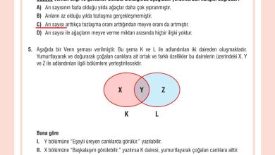 7. Sınıf Meb Yayınları Fen Bilimleri Ders Kitabı Sayfa 202 Cevapları