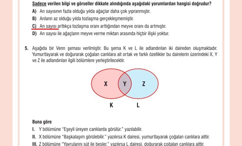 7. Sınıf Meb Yayınları Fen Bilimleri Ders Kitabı Sayfa 202 Cevapları