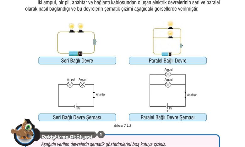 7. Sınıf Meb Yayınları Fen Bilimleri Ders Kitabı Sayfa 205 Cevapları