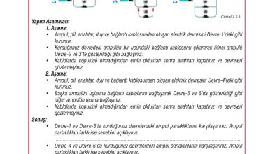 7. Sınıf Meb Yayınları Fen Bilimleri Ders Kitabı Sayfa 206 Cevapları