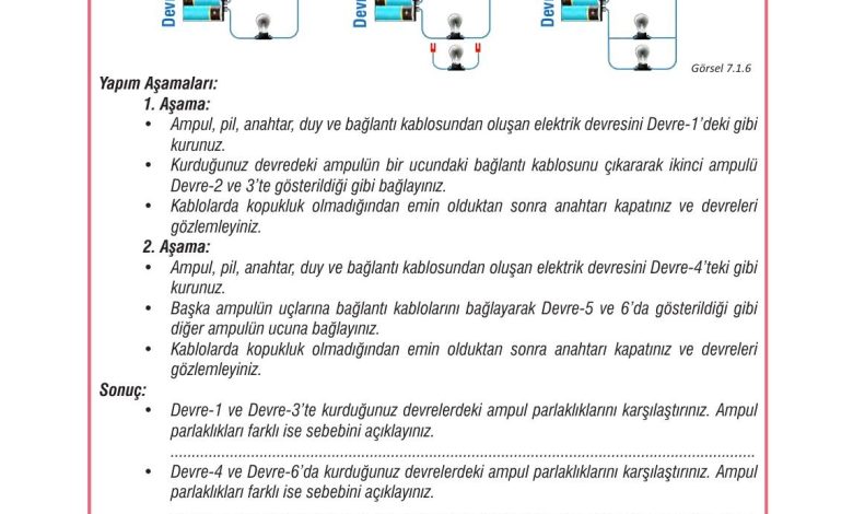 7. Sınıf Meb Yayınları Fen Bilimleri Ders Kitabı Sayfa 206 Cevapları