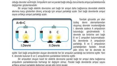 7. Sınıf Meb Yayınları Fen Bilimleri Ders Kitabı Sayfa 207 Cevapları