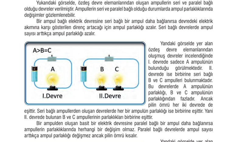 7. Sınıf Meb Yayınları Fen Bilimleri Ders Kitabı Sayfa 207 Cevapları