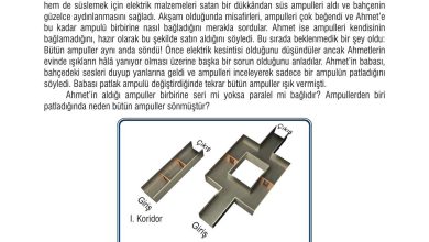 7. Sınıf Meb Yayınları Fen Bilimleri Ders Kitabı Sayfa 208 Cevapları