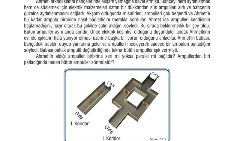 7. Sınıf Meb Yayınları Fen Bilimleri Ders Kitabı Sayfa 208 Cevapları