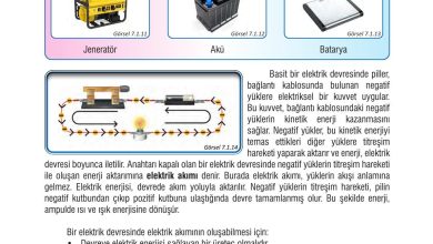 7. Sınıf Meb Yayınları Fen Bilimleri Ders Kitabı Sayfa 209 Cevapları