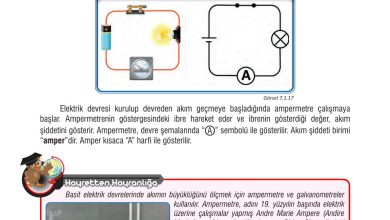 7. Sınıf Meb Yayınları Fen Bilimleri Ders Kitabı Sayfa 210 Cevapları