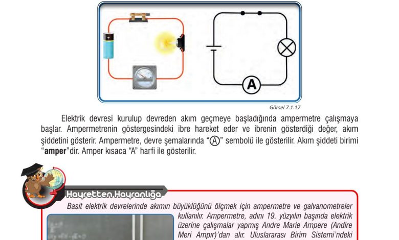 7. Sınıf Meb Yayınları Fen Bilimleri Ders Kitabı Sayfa 210 Cevapları