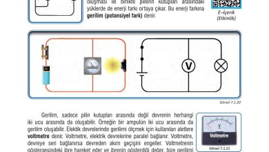 7. Sınıf Meb Yayınları Fen Bilimleri Ders Kitabı Sayfa 211 Cevapları