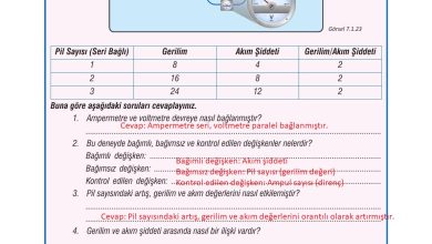 7. Sınıf Meb Yayınları Fen Bilimleri Ders Kitabı Sayfa 212 Cevapları