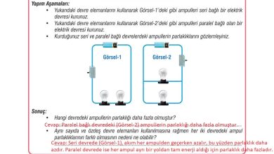 7. Sınıf Meb Yayınları Fen Bilimleri Ders Kitabı Sayfa 213 Cevapları