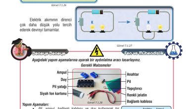 7. Sınıf Meb Yayınları Fen Bilimleri Ders Kitabı Sayfa 214 Cevapları