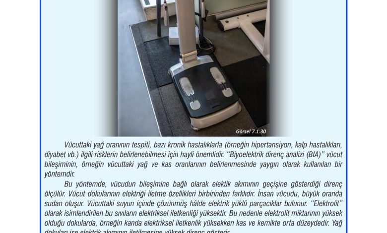 7. Sınıf Meb Yayınları Fen Bilimleri Ders Kitabı Sayfa 215 Cevapları