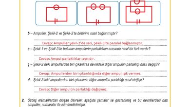 7. Sınıf Meb Yayınları Fen Bilimleri Ders Kitabı Sayfa 216 Cevapları