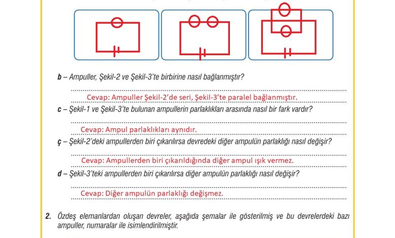 7. Sınıf Meb Yayınları Fen Bilimleri Ders Kitabı Sayfa 216 Cevapları