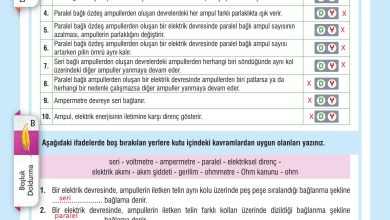 7. Sınıf Meb Yayınları Fen Bilimleri Ders Kitabı Sayfa 217 Cevapları