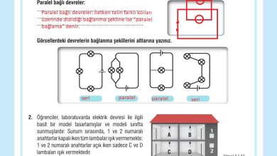 7. Sınıf Meb Yayınları Fen Bilimleri Ders Kitabı Sayfa 218 Cevapları