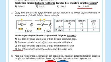 7. Sınıf Meb Yayınları Fen Bilimleri Ders Kitabı Sayfa 219 Cevapları