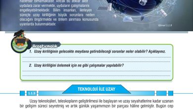 7. Sınıf Meb Yayınları Fen Bilimleri Ders Kitabı Sayfa 22 Cevapları