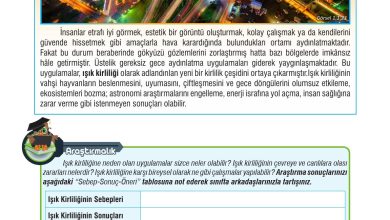 7. Sınıf Meb Yayınları Fen Bilimleri Ders Kitabı Sayfa 26 Cevapları