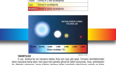 7. Sınıf Meb Yayınları Fen Bilimleri Ders Kitabı Sayfa 34 Cevapları