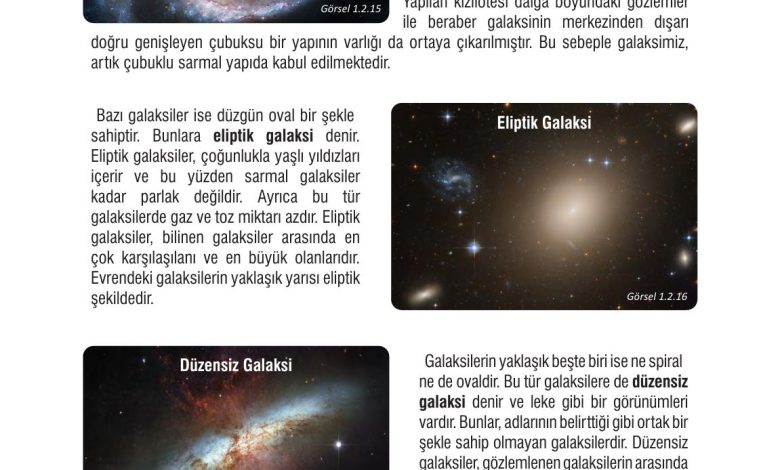 7. Sınıf Meb Yayınları Fen Bilimleri Ders Kitabı Sayfa 37 Cevapları