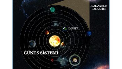 7. Sınıf Meb Yayınları Fen Bilimleri Ders Kitabı Sayfa 38 Cevapları