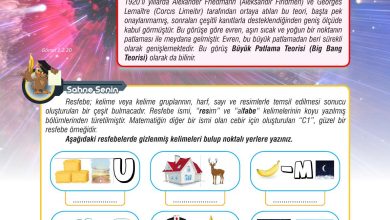 7. Sınıf Meb Yayınları Fen Bilimleri Ders Kitabı Sayfa 39 Cevapları