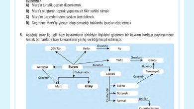 7. Sınıf Meb Yayınları Fen Bilimleri Ders Kitabı Sayfa 44 Cevapları