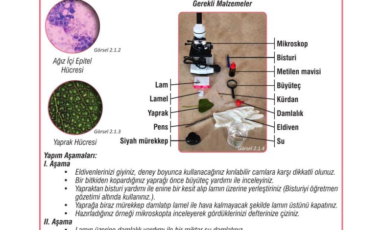 7. Sınıf Meb Yayınları Fen Bilimleri Ders Kitabı Sayfa 47 Cevapları