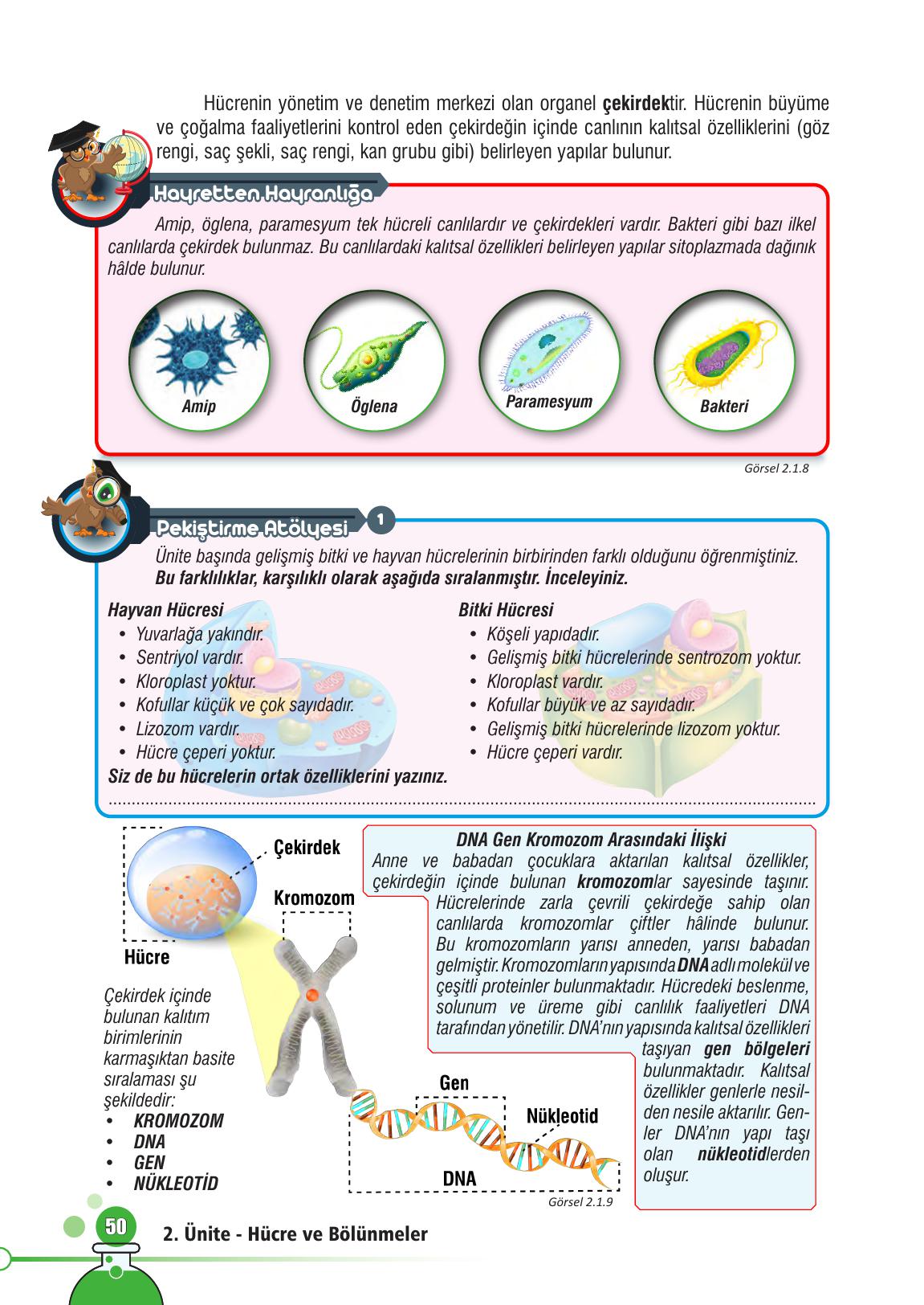 7. Sınıf Meb Yayınları Fen Bilimleri Ders Kitabı Sayfa 50 Cevapları