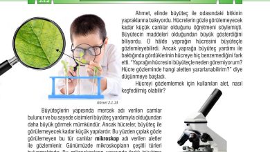 7. Sınıf Meb Yayınları Fen Bilimleri Ders Kitabı Sayfa 51 Cevapları